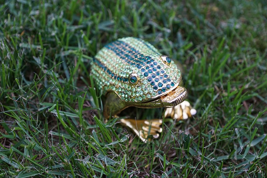Frog, Figure, Luck, Grass, Garden, green, animal, one animal HD wallpaper