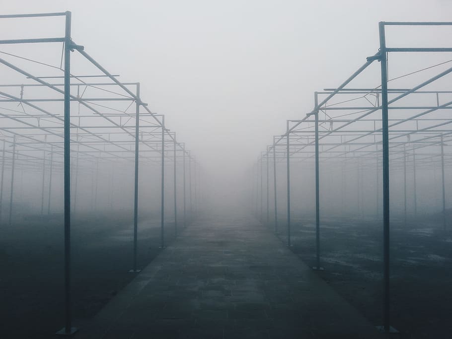 architectural photography of foggy metal building frames, minimalist photography of canopy frame with fogs HD wallpaper