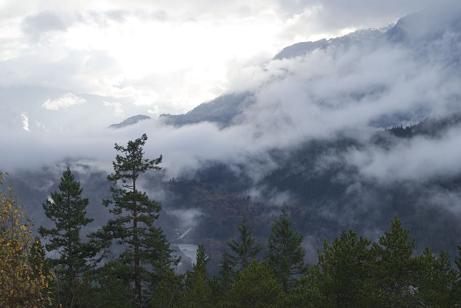 clouds, pine tree, landscape, natural, outdoor, hill, nature HD wallpaper