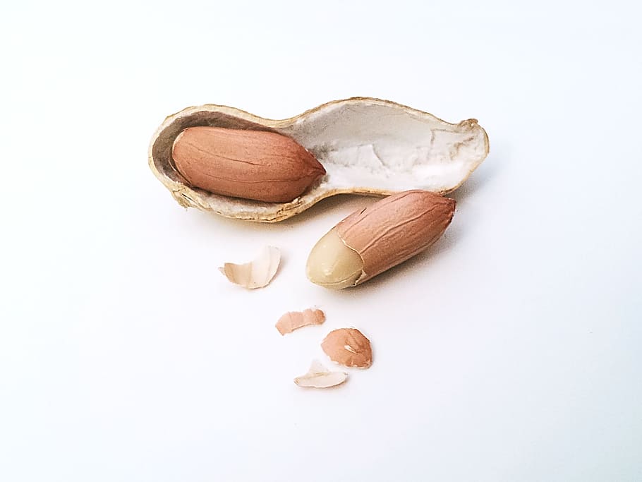 peanuts with shell, peanut shell, nutshell, nutmeat, nuclear HD wallpaper