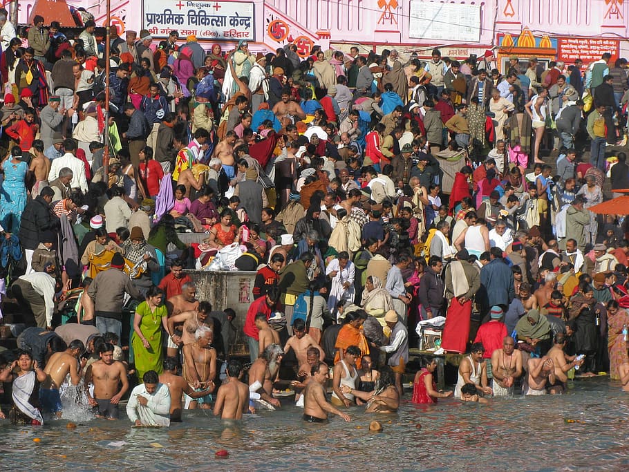 pilgrims, hindu, bath, crowd, group of people, large group of people HD wallpaper