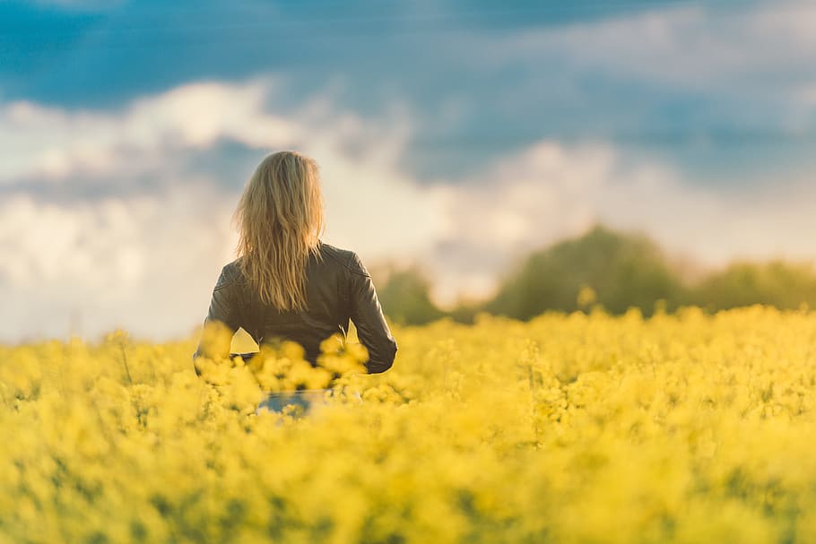 Woman in Yellow Field at Sunset, people, nature, women, oilseed Rape