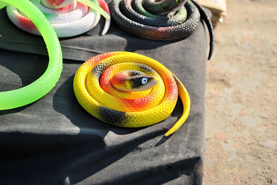 the, toy, snake, healthy eating, no people, fruit, shadow, sunlight HD wallpaper