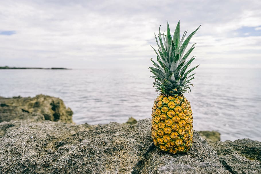 beach, coastline, fruit, pineapple, reef, rock, rocky, sea HD wallpaper