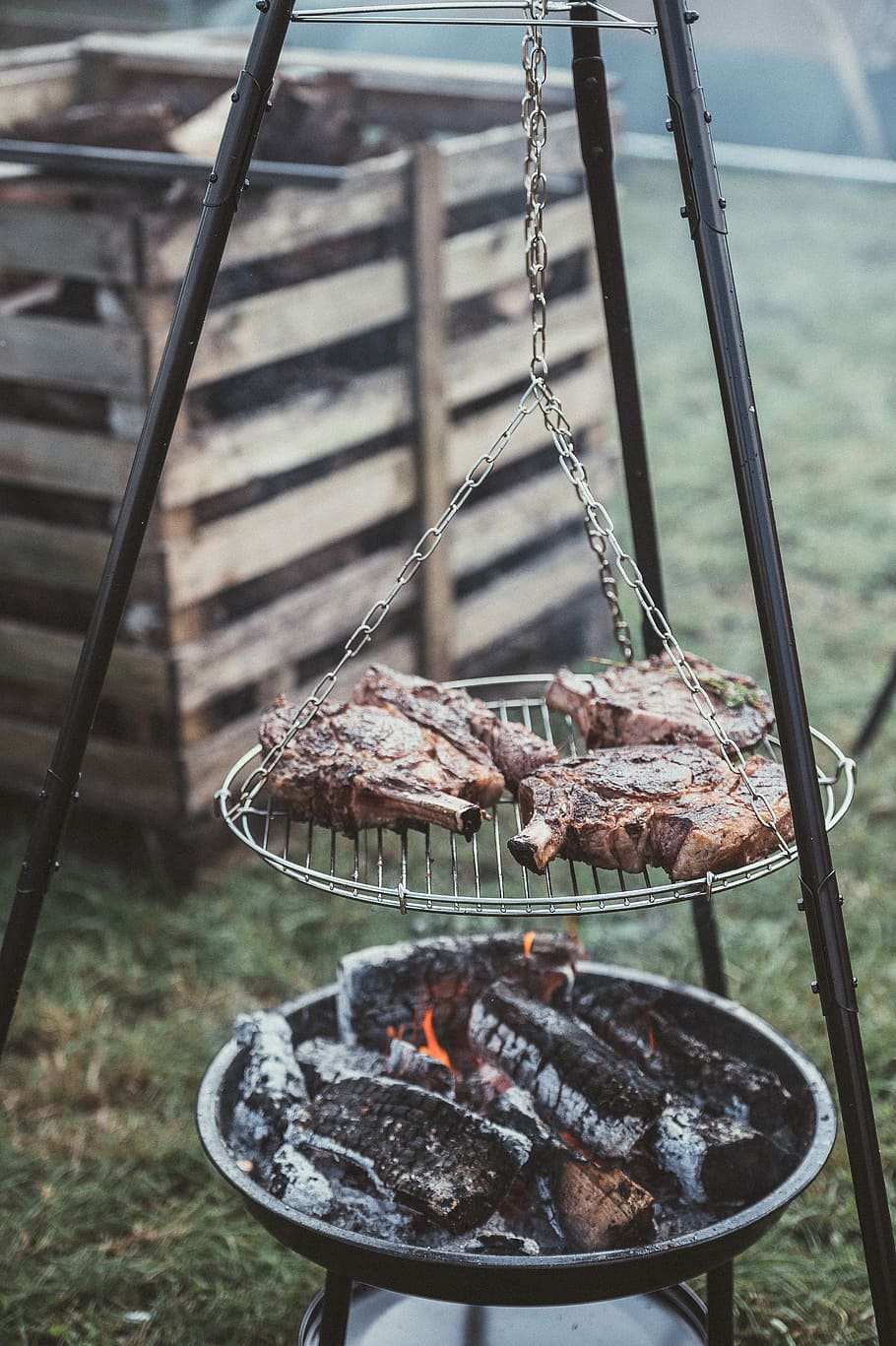 Meat chops roasting, grilled meat dish, fire, log, burning, flame HD wallpaper