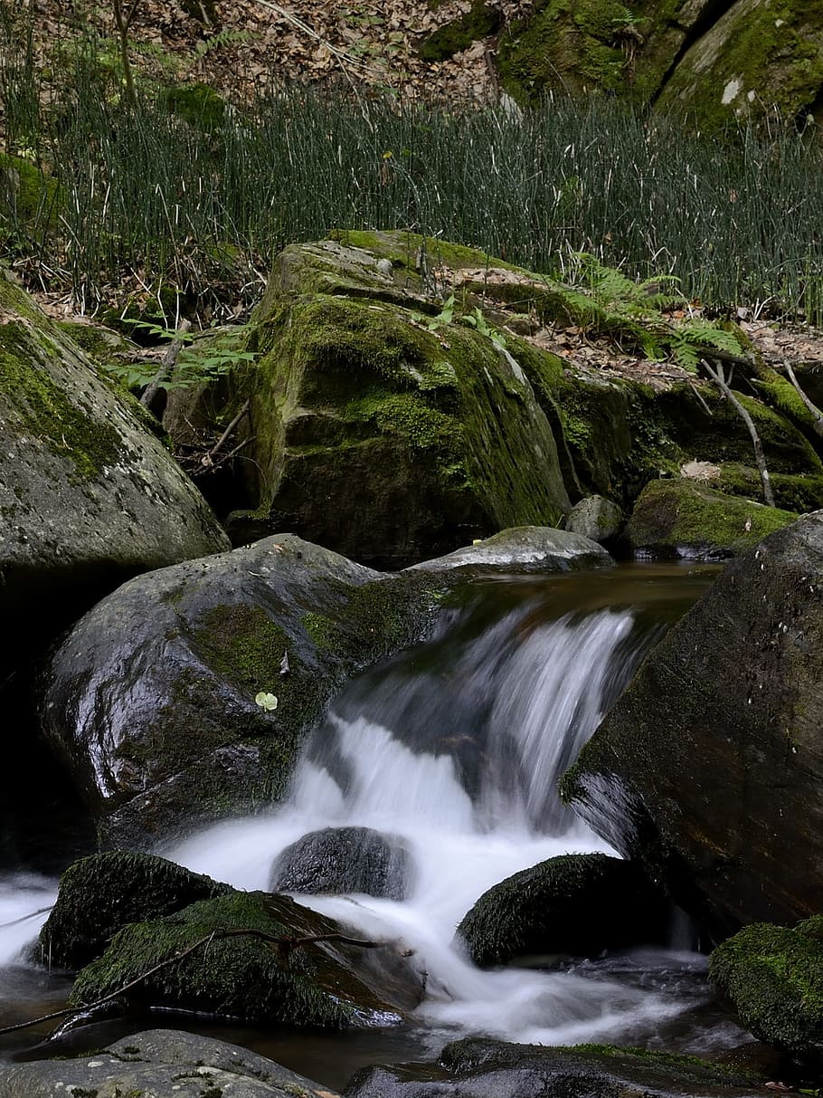 bach, austria, styria, teigitsch, landscape, nature, creek HD wallpaper