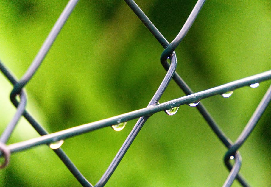 fence, drop of water, wire, close up, macro, wire mesh fence