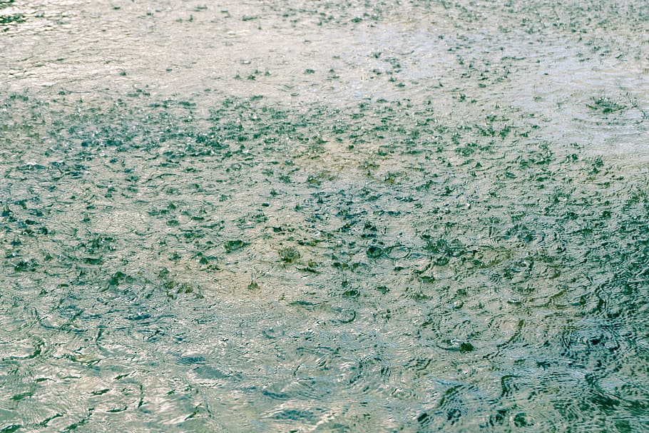 body of water, green leaf on calm body, rain, raindrop, surface HD wallpaper
