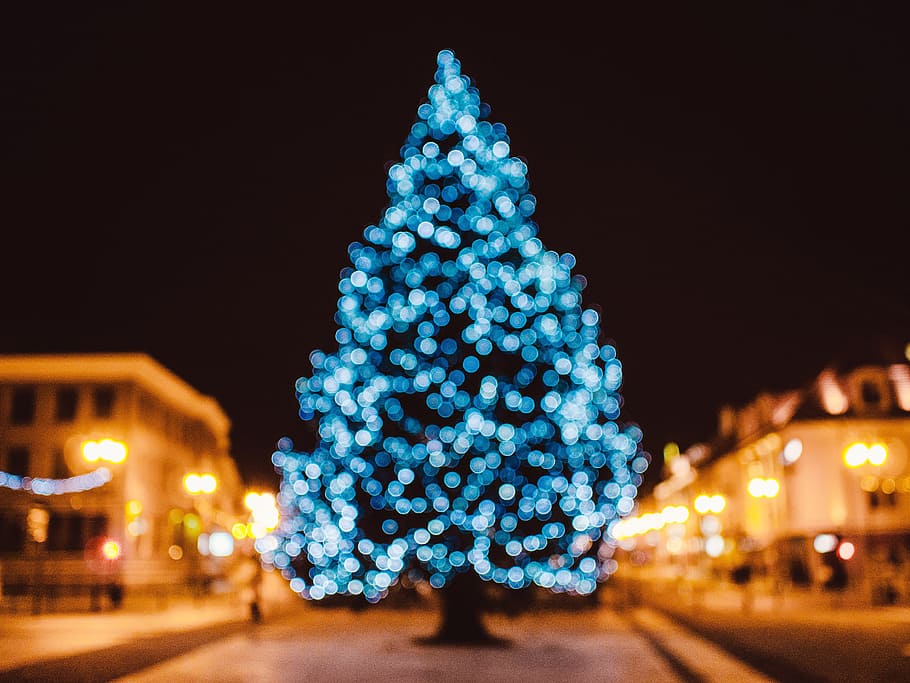 lighted Christmas tree, lights, decorations, festive, holidays HD wallpaper