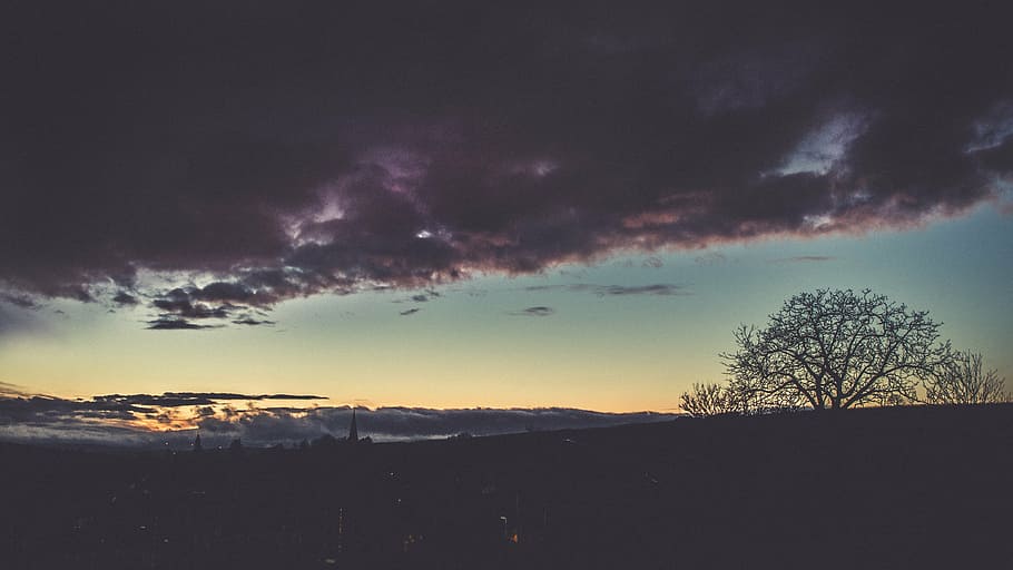 landscape photography of tree under dramatic sky, silhouette HD wallpaper