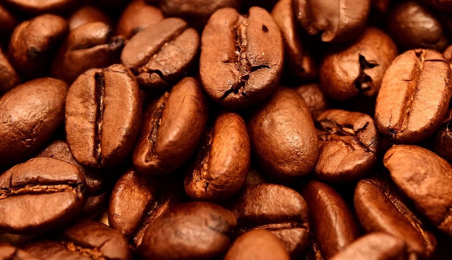 focus photo of coffee beans, cafe, roasted, caffeine, brown HD wallpaper