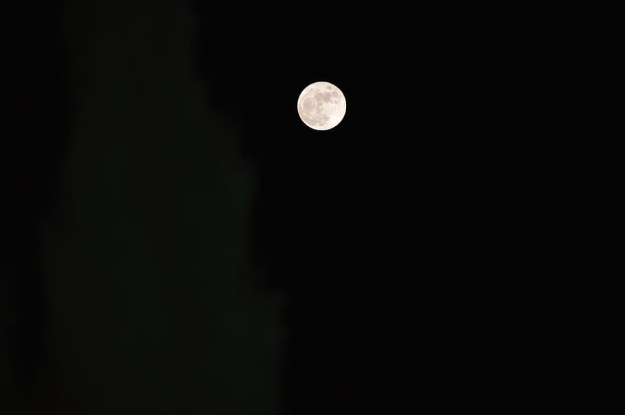moon, night, sky, dark, moonlight, night sky, evening, space HD wallpaper