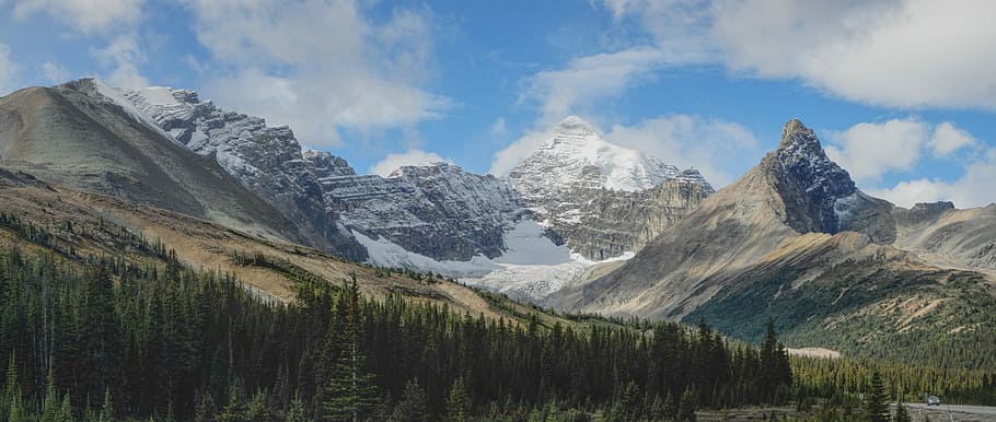 pine trees with snow-capped mountain at distance, nature, landscape HD wallpaper