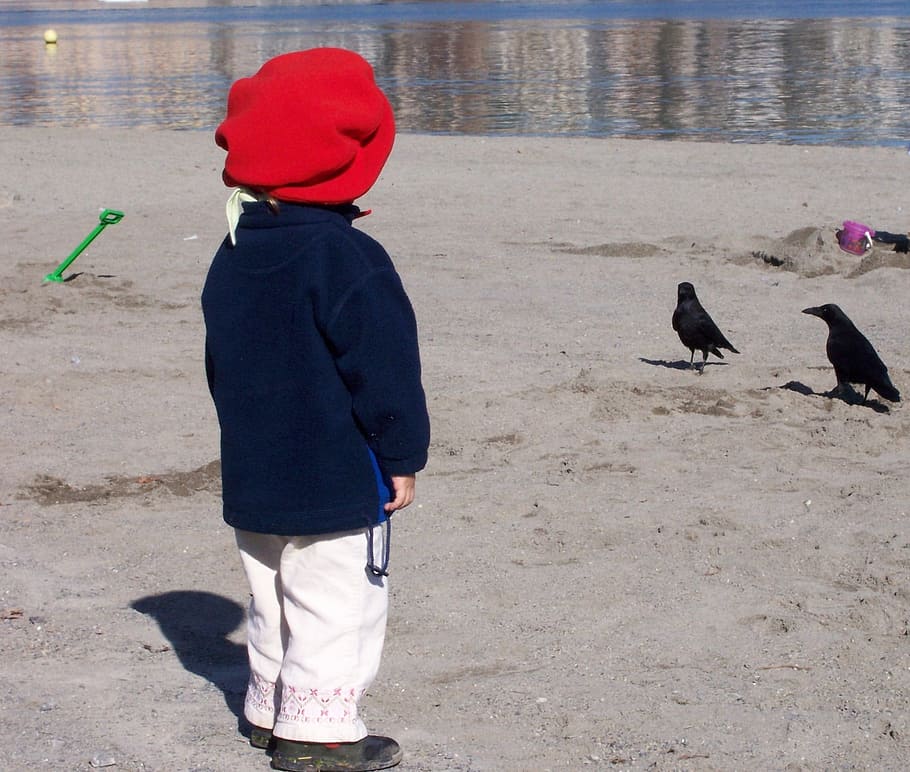 Red Hat, Child, Dig, Beach, Crows, sand, rear view, childhood HD wallpaper