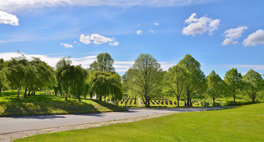 green leafed trees, graves, cemetery, sky, natur, grass, summer HD wallpaper