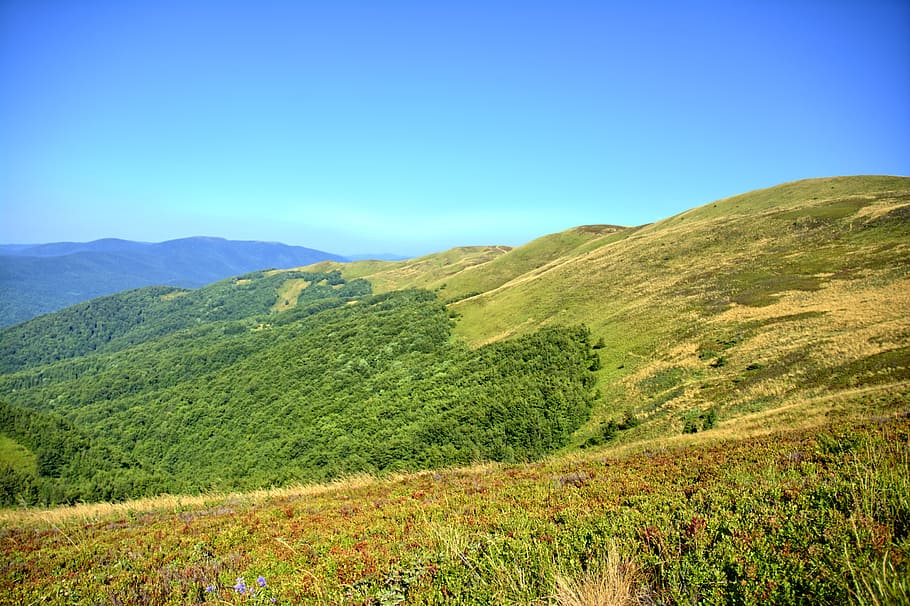 bieszczady, tarnica, beech berdo, mountains, the silence, poland HD wallpaper