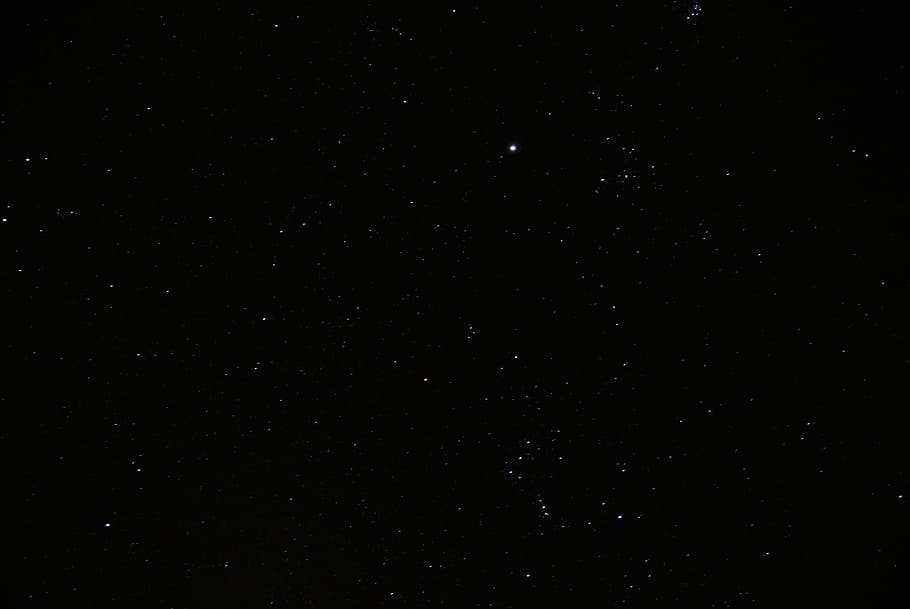 stars photo, night, space, white, sparkle, orion, star - space