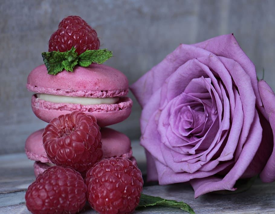 pink rose and pink macaroons, macarons, raspberries, mint, purple rose, HD wallpaper