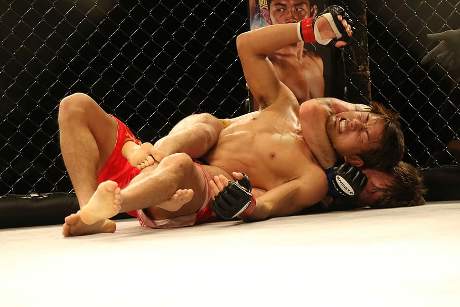 man holding person on his neck, Mma, Mixed Martial Arts, Japan, HD wallpaper