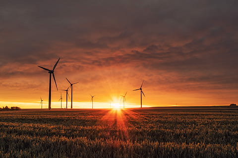 windmill on grass field during golden hour, wind turbines on field during golden hour HD wallpaper