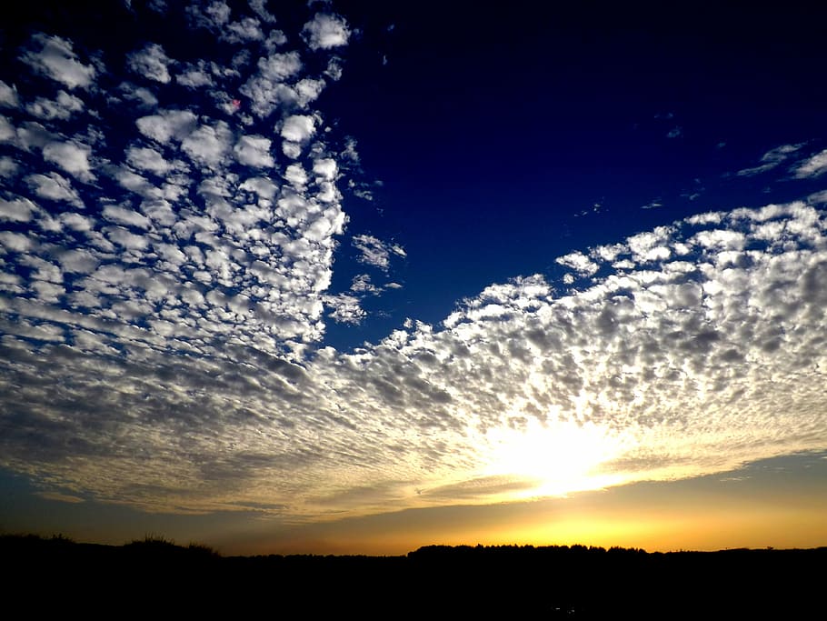 Cloud, Sunset, White, Fluffy, sky, blue, in the evening, silhouette HD wallpaper