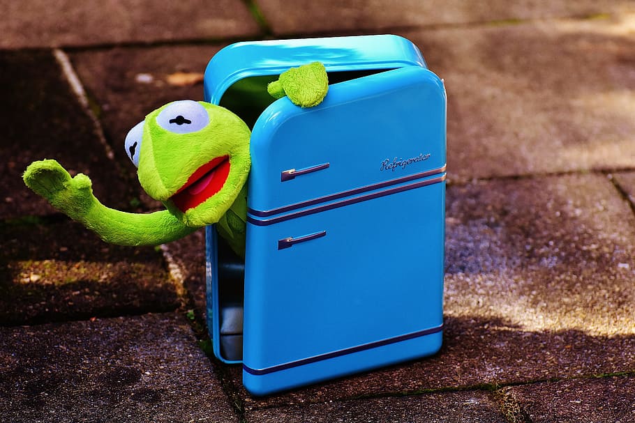 kermit, frog, refrigerator, funny, retro, green, toys, soft toy HD wallpaper