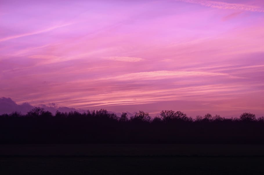 sky, clouds, trees, plants, forest, dark, nature, scenics - nature HD wallpaper