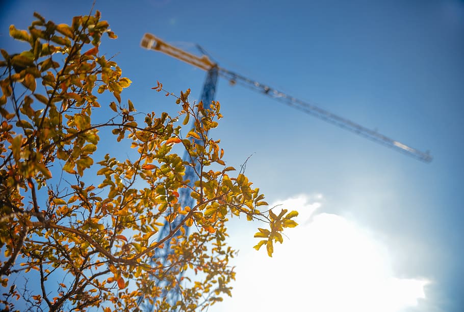 construction, industry, crane, leaves, tree, sky, plant, low angle view HD wallpaper