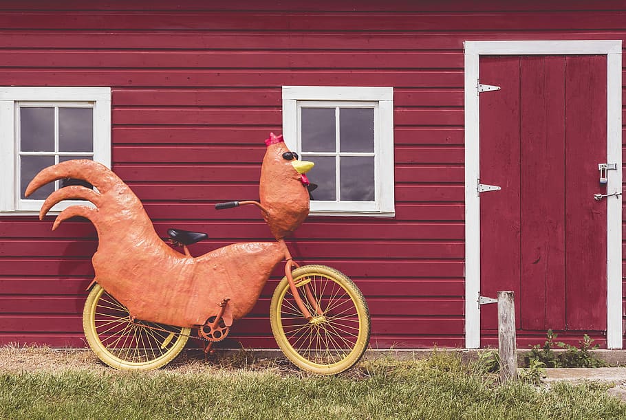brown and black rooster style bicycle, objects, whimsical, lazy HD wallpaper