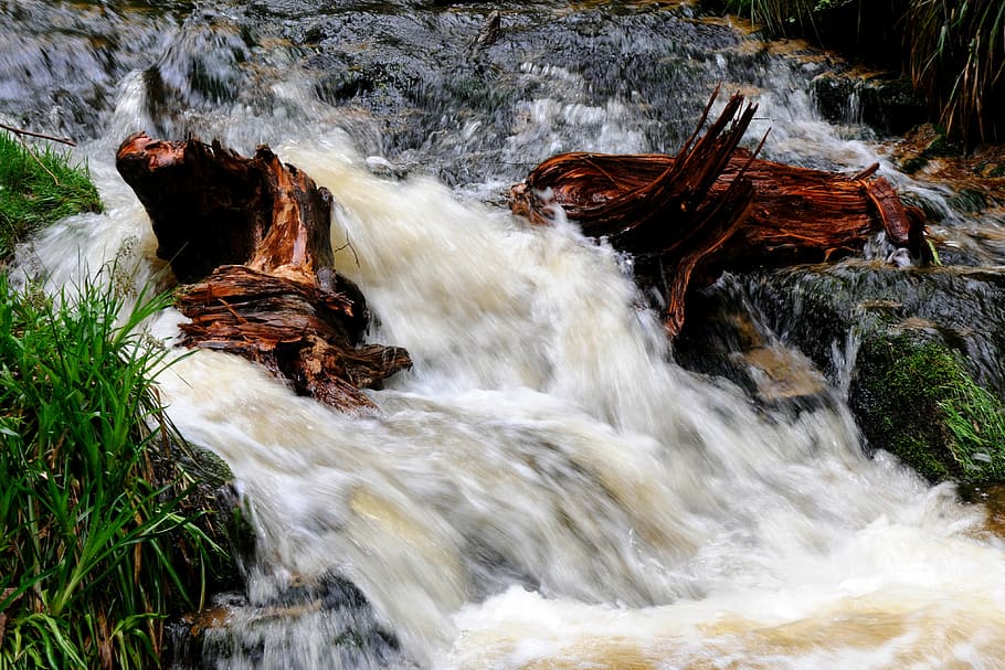 water, wild, flow, nature, white water, motion, beauty in nature HD wallpaper