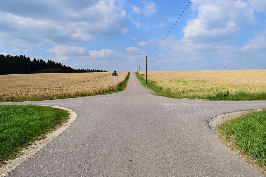 gray concrete road path, away, junction, direction, decision HD wallpaper