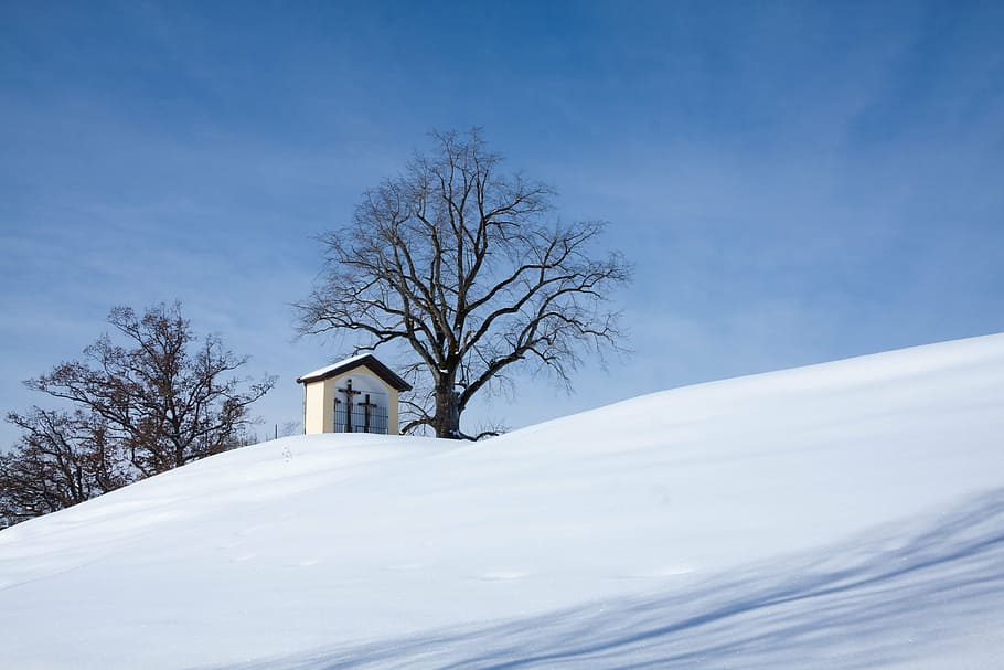mountain, trees, sky, blue, snow, white, sunny, wintry, chapel HD wallpaper