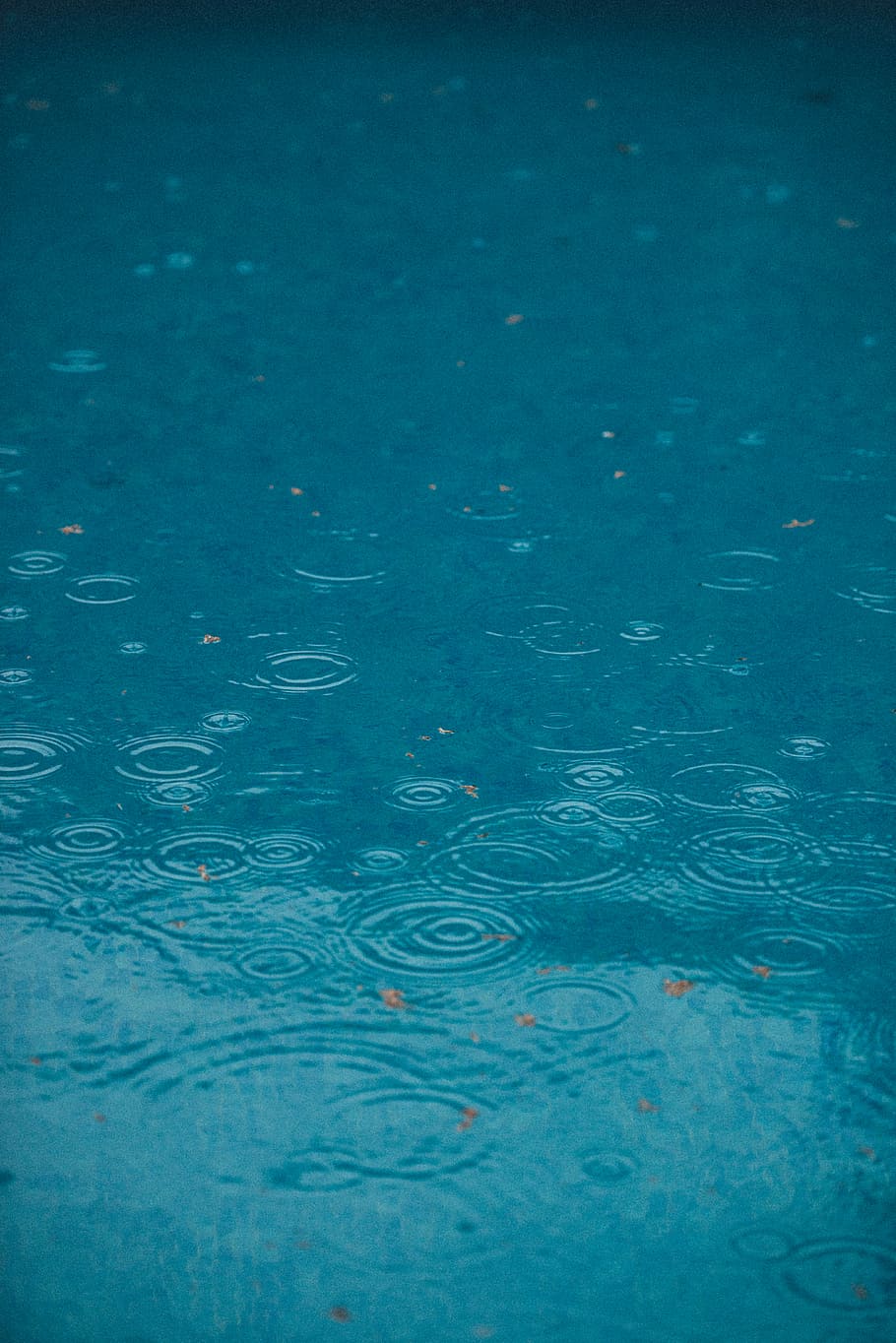 time lapse photography body of water, rain drops on water ripples HD wallpaper