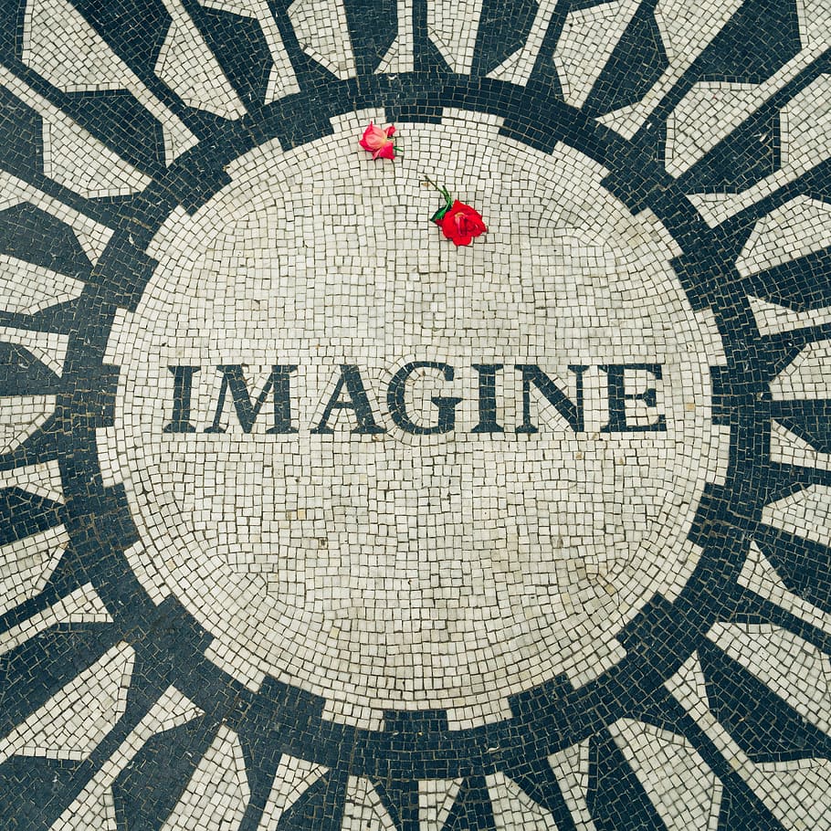 red rose on Imagine text with, red rose on white mosaic tiles HD wallpaper