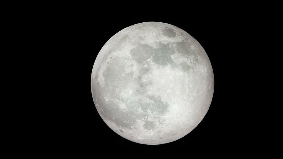 gray full moon, solar, space, astronomy, celestial, night, planet - Space HD wallpaper
