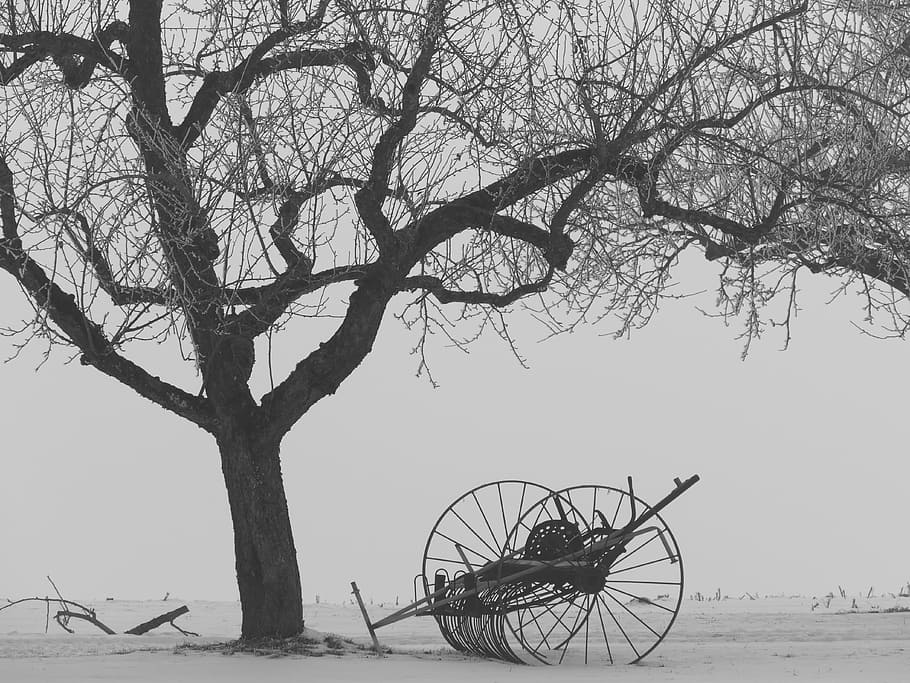 winter, tree, kahl, snow, still life, hay tedders, agriculture HD wallpaper