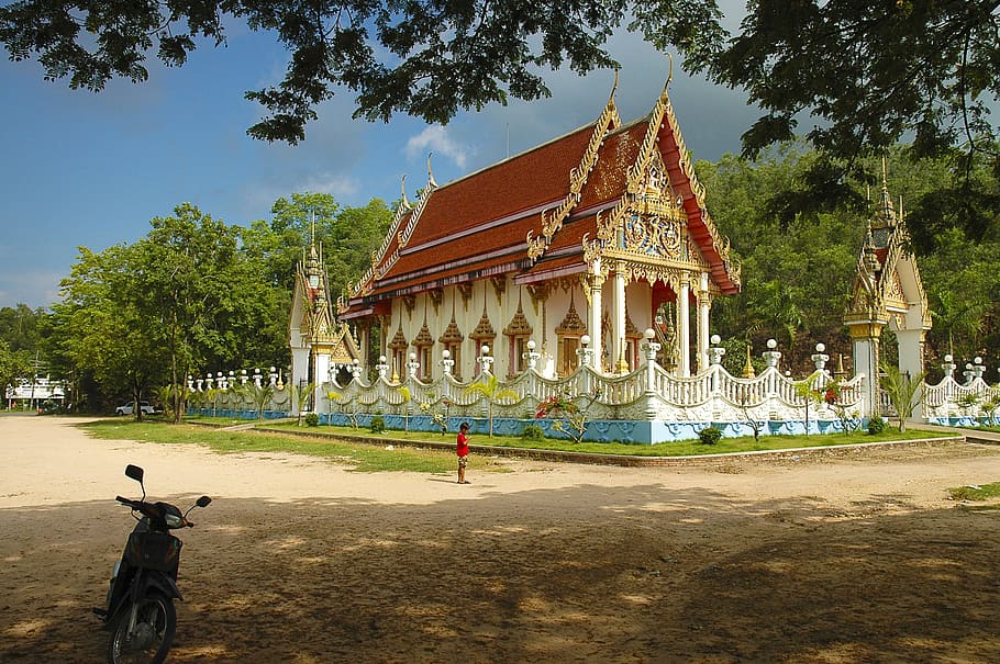 temple, wat, thailand, tree, architecture, built structure HD wallpaper