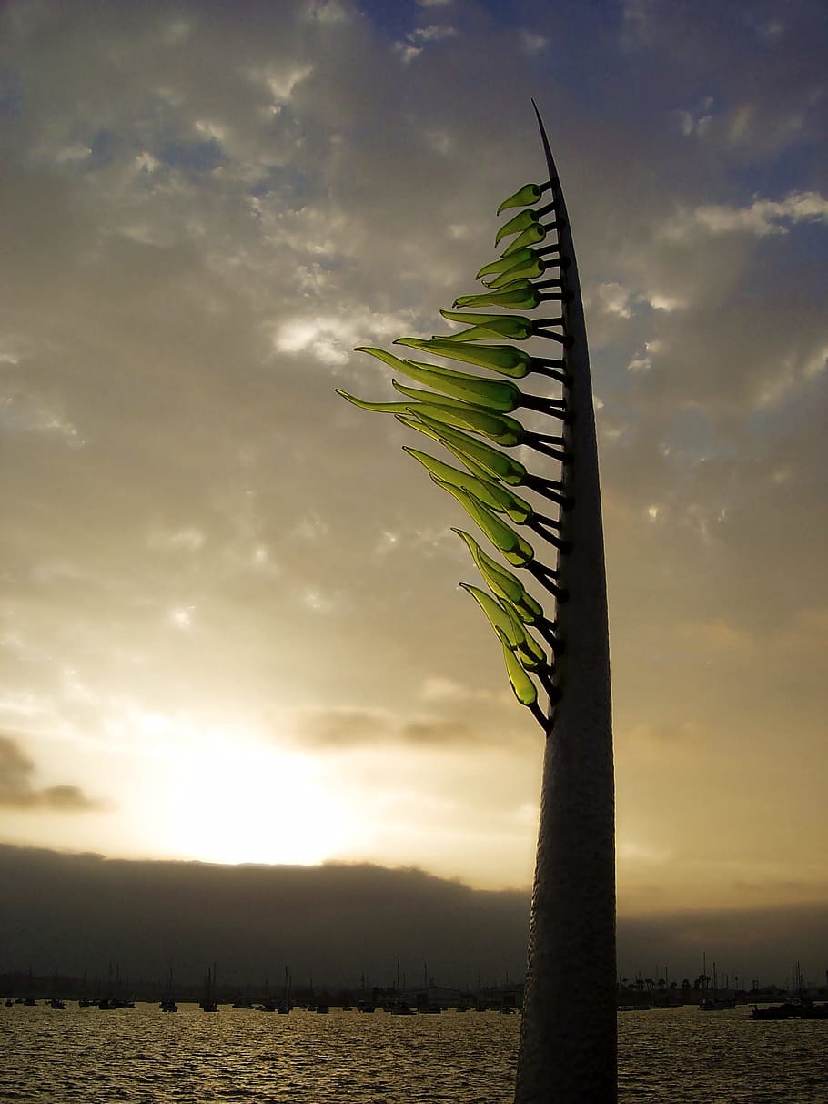 sunset, tree, landscape, sky, nature, san diego, blown glass sculpture HD wallpaper