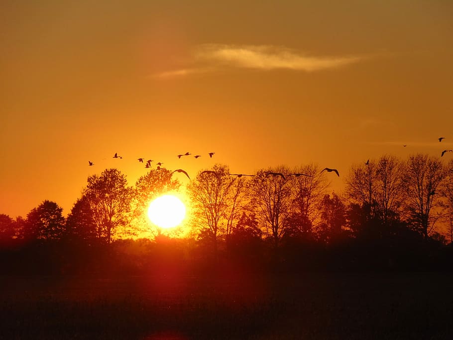 Sun, Sunset, Nature, afterglow, landscape, abendstimmung, evening sky HD wallpaper