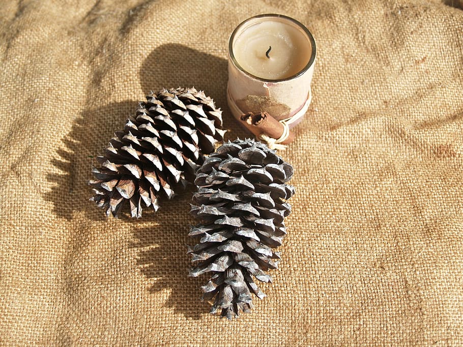 pine cone, pine cones, candle, rough, prickly, hessian, rustic