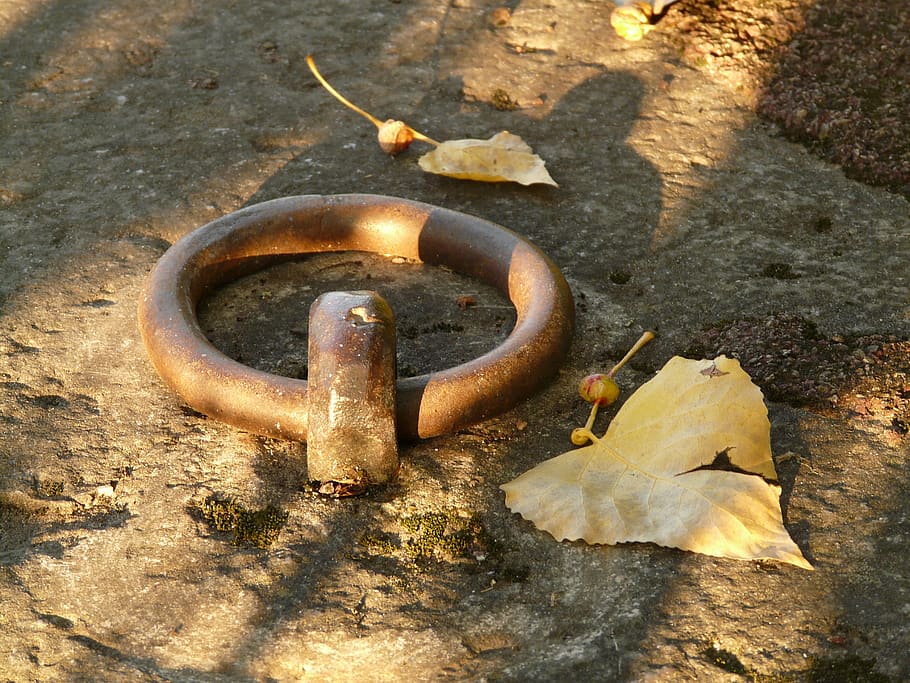 metal ring, pier, hedge, security, close-up, day, high angle view HD wallpaper