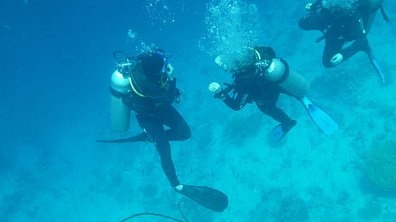 three divers swimming underwater, diving, ocean, sea, breathing apparatus HD wallpaper