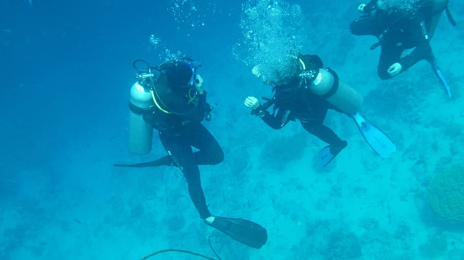 three divers swimming underwater, diving, ocean, sea, breathing apparatus