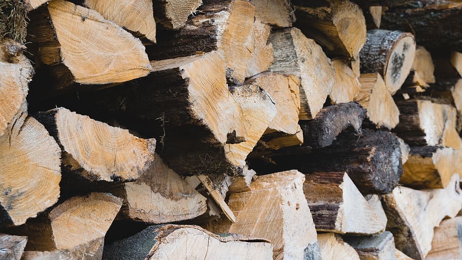 wood, forst, trees, cut, log, timber, full frame, backgrounds HD wallpaper