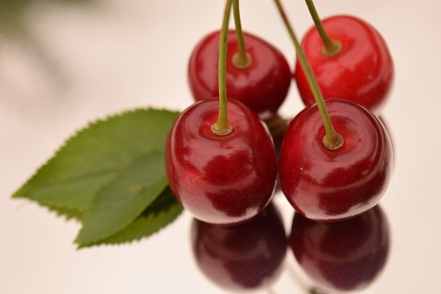 Cherries, Summer, Fruit, Sweet, red, nature, delicious, close HD wallpaper