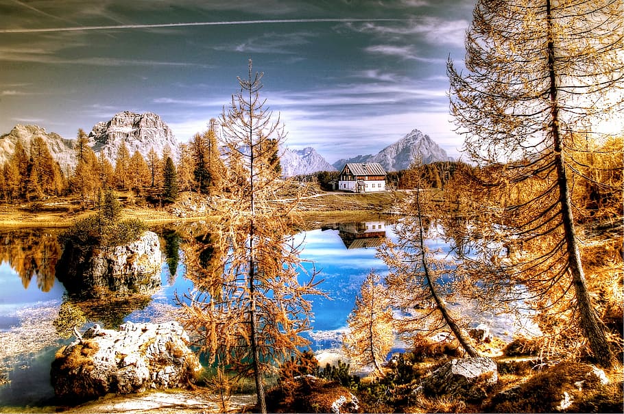 river between trees near mountains, dolomites, italy, alpine, HD wallpaper