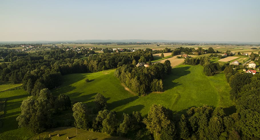 tree, landscape, nature, view, poland, summer, field, village HD wallpaper