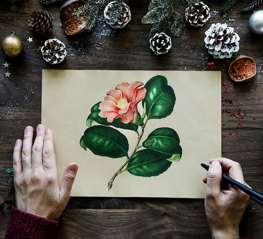 person painting flower, desktop, aerial, aerial view, background, HD wallpaper