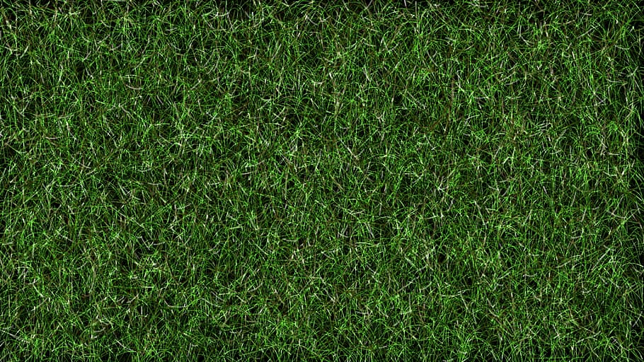 photo of green turf, grass, football, lawn, background, model
