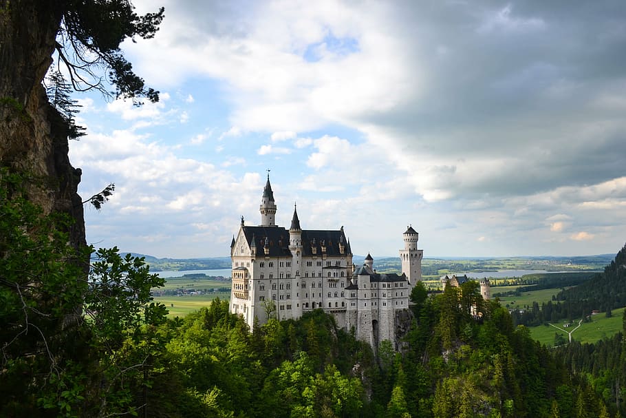 white and black castle surrounded by trees, photograph, near HD wallpaper
